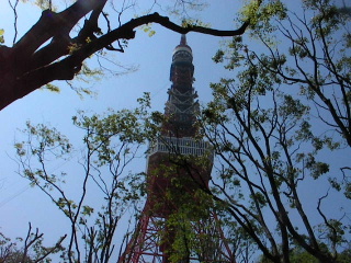 b0109874_892656.jpg