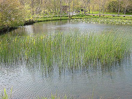 e0022175_17283552.jpg