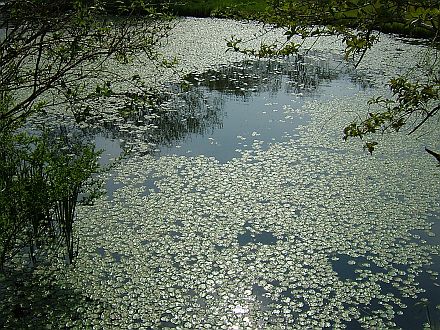 e0022175_17292466.jpg