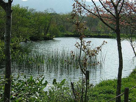 e0022175_17312013.jpg