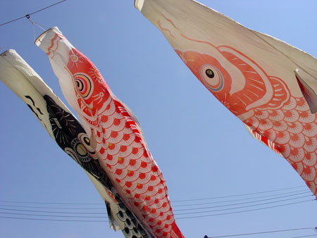 d0031378_1272999.jpg