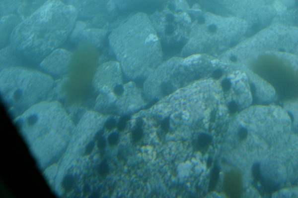 b0003280_0165489.jpg