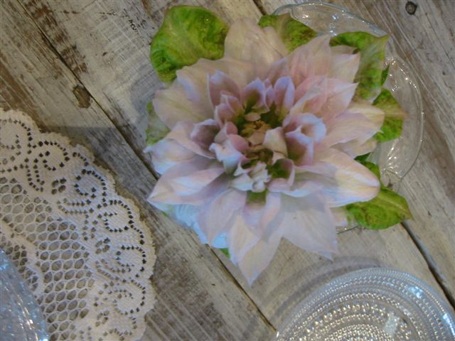 e0109090_8391671.jpg