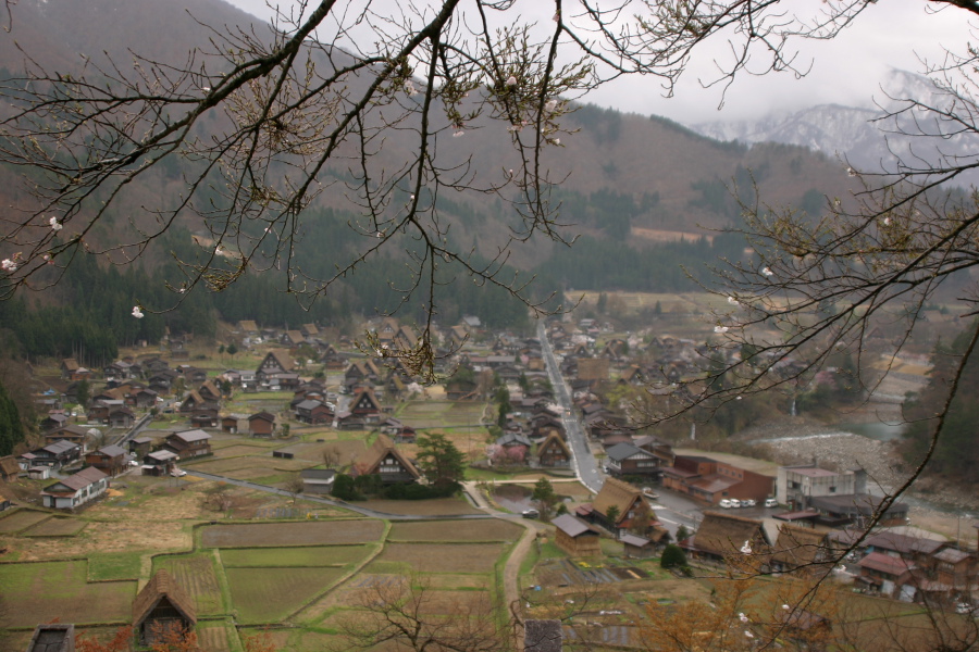 桜咲く白川郷でふらふら_b0029997_941204.jpg