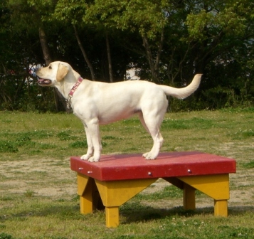 d0091700_1343920.jpg