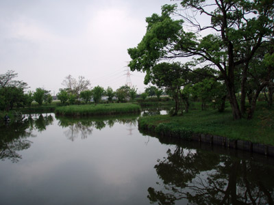 a0097006_2012458.jpg