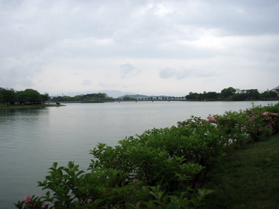 a0097006_2015765.jpg