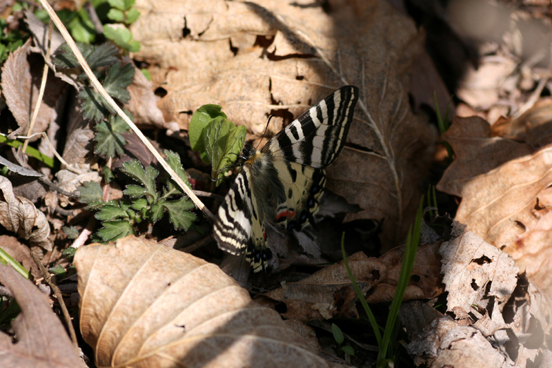 d0054625_23503619.jpg