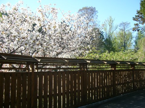 f0032635_3134786.jpg