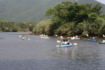 e0041337_6552133.jpg