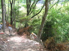 e0049740_18432755.jpg