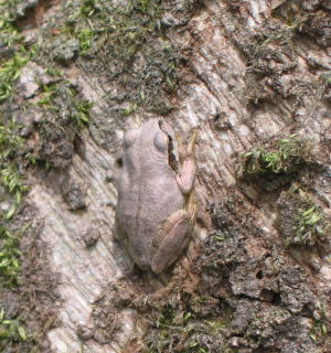 e0049740_7423752.jpg