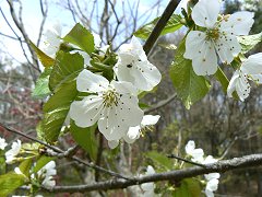 ペンション冥利_f0019247_16554574.jpg