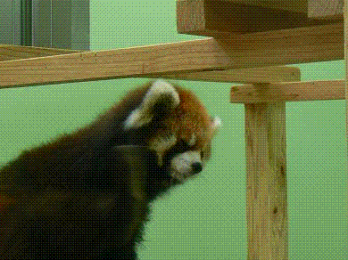 f0014748_2132126.gif