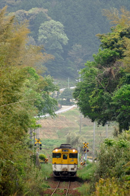 e0056449_206480.jpg
