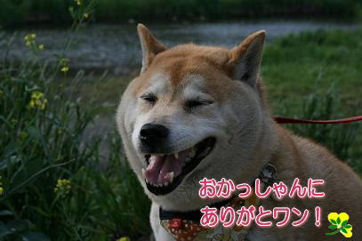 またまた復活~♪_c0049950_9193965.jpg