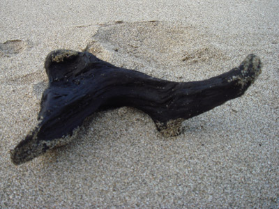 d0096356_88461.jpg