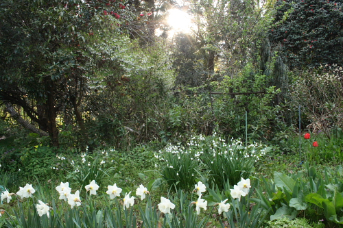 b0046664_12179.jpg