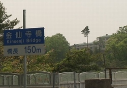 d0083265_2324473.jpg