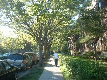 a0027277_112836.jpg