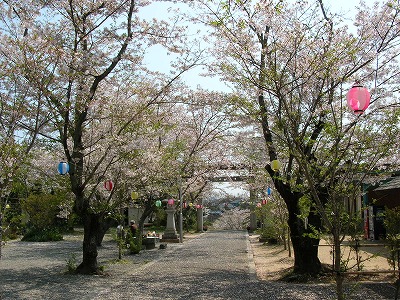 宇部護国神社　神社にも～咲くLOVE～♪_f0004581_1752038.jpg