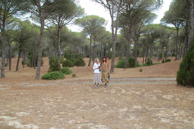 e0061699_845470.jpg
