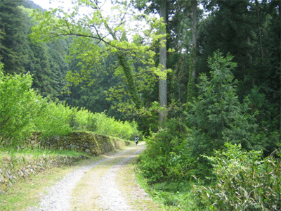 b0108100_10541720.gif