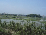 c0052304_1531426.jpg