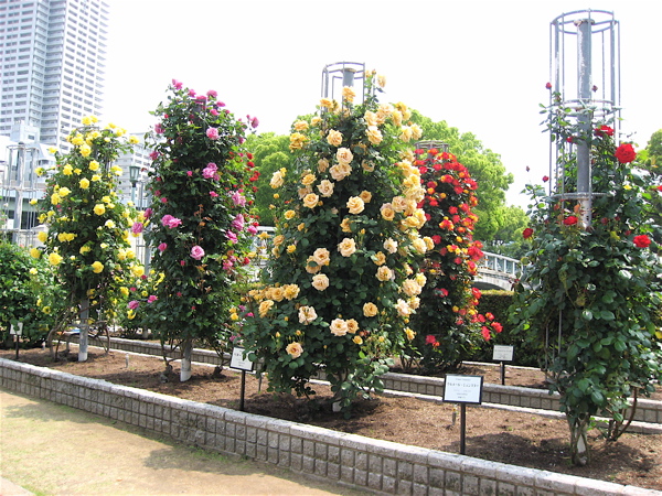 e0001406_1632631.jpg