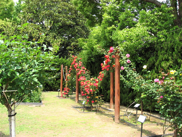 e0001406_1634530.jpg