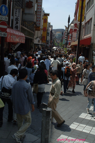 a0094711_13582668.gif