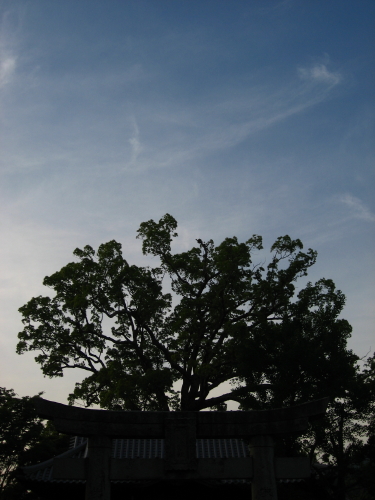 今日で連休終わり_d0047811_18541762.jpg