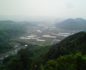 f0041113_1584957.jpg