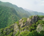f0041113_23586.jpg