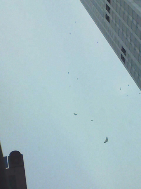 a0030715_1785849.jpg