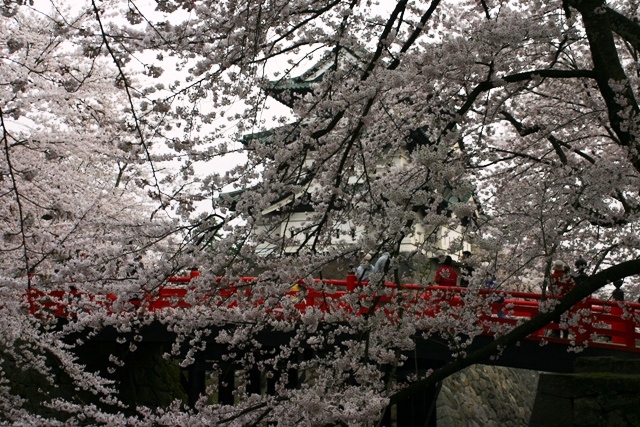 e0111217_2337482.jpg