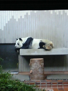 東京国立科学博物館～上野動物園_a0100919_9533160.jpg