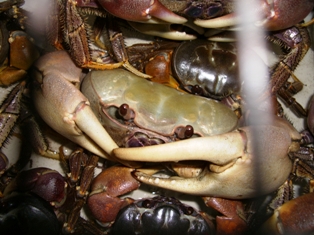 a0043520_2137521.jpg