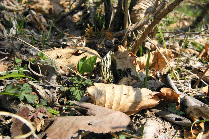 d0054625_0134124.jpg