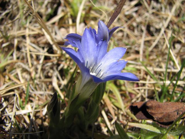 f0099535_2141216.jpg