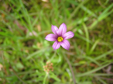 e0110940_1473186.jpg