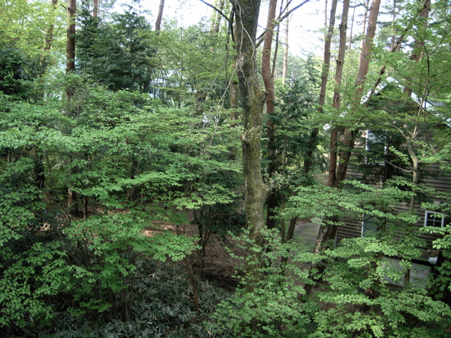 d0078841_2028498.jpg