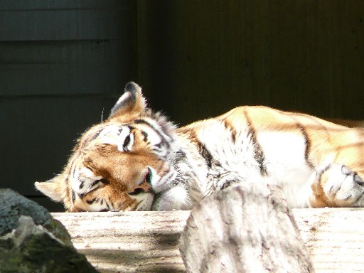 b0088444_1312366.jpg