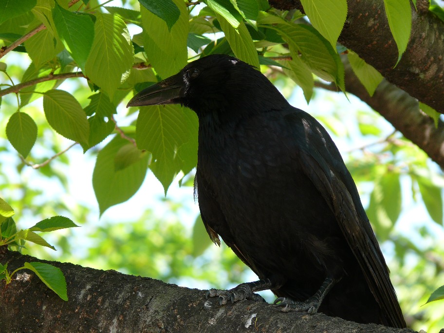 b0088444_134327.jpg