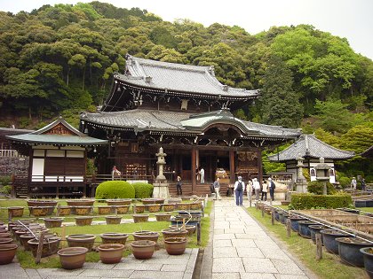 洛南・宇治散策(4)～三室戸寺_c0057946_17183472.jpg