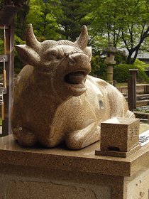 洛南・宇治散策(4)～三室戸寺_c0057946_1720948.jpg