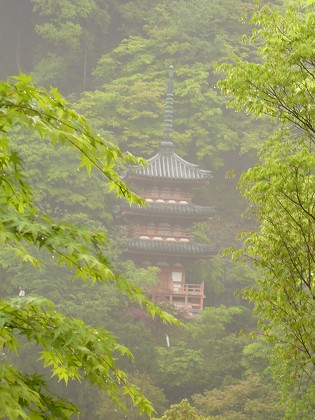 洛南・宇治散策(4)～三室戸寺_c0057946_17321433.jpg