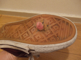 a0085647_21135249.gif
