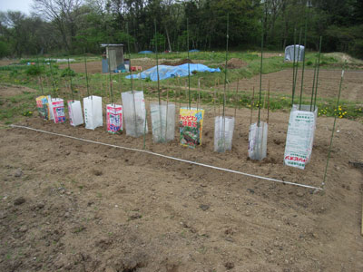 農園便り・補助装置_c0063348_1741497.jpg