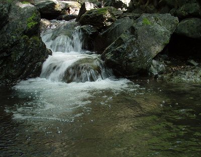 f0073059_115912.jpg